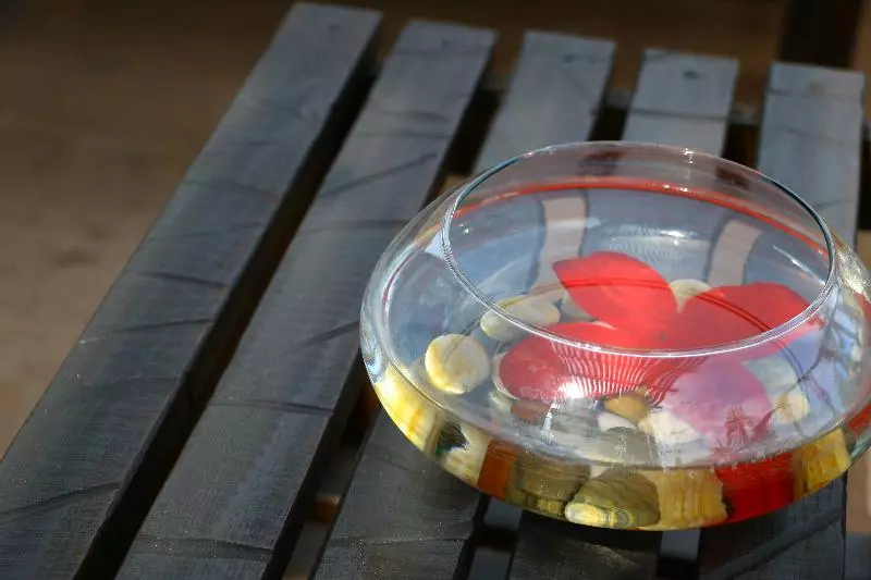 Hotel Posada Del Cortes