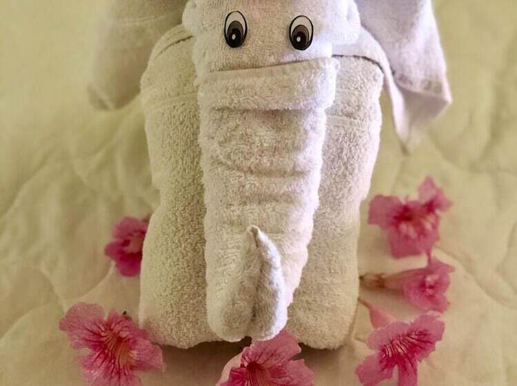 בית מלון כפרי Pousada Palmeiras