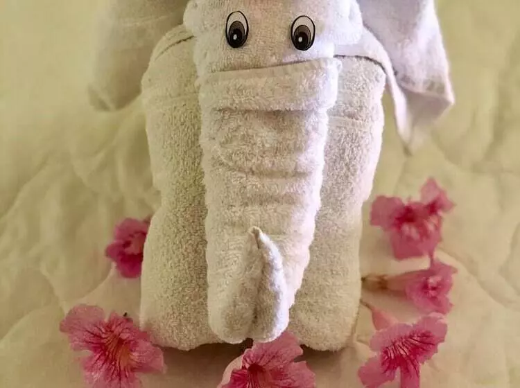 호텔 Pousada Palmeiras