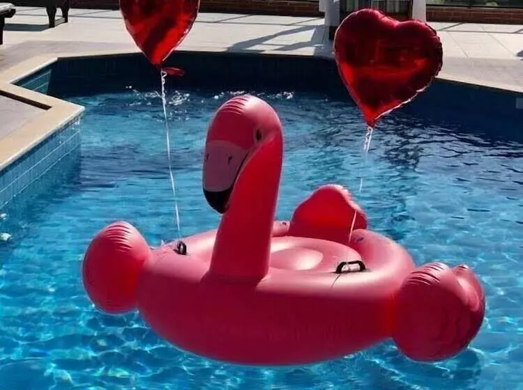 호텔 Pousada Palmeiras