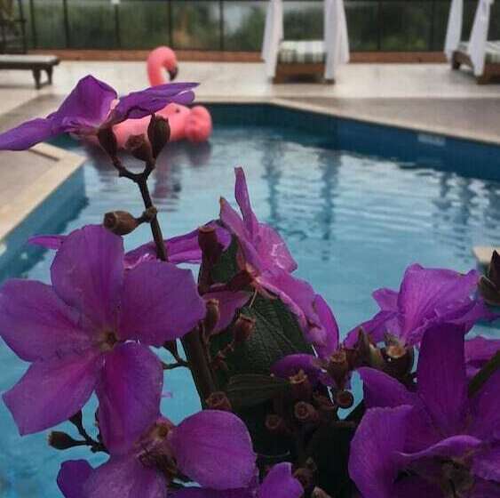 בית מלון כפרי Pousada Palmeiras