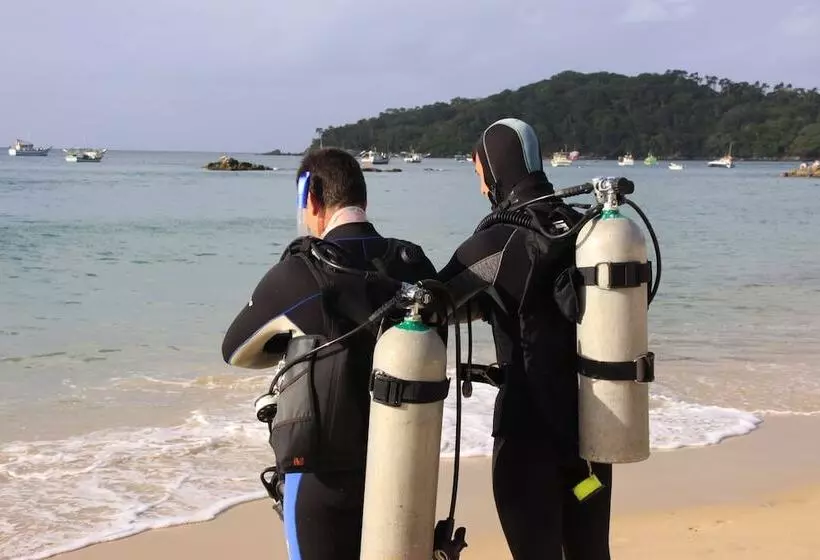 호텔 Pousada Palmeiras