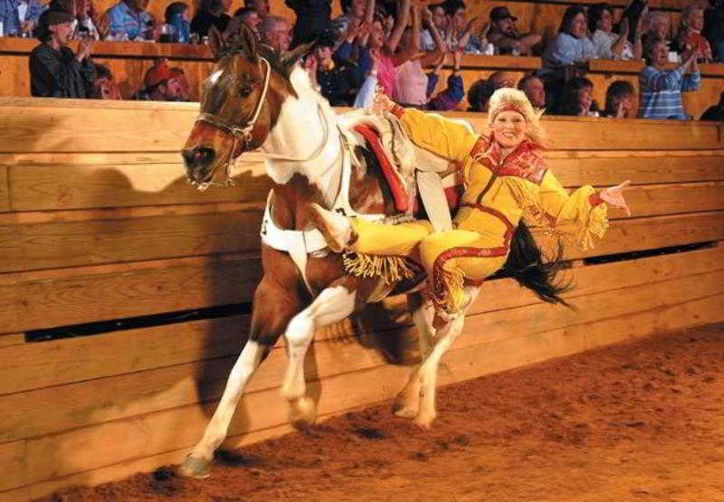 فندق Springhill Suites Pigeon Forge