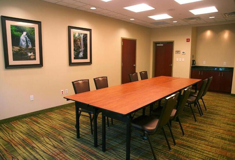 فندق Springhill Suites Pigeon Forge