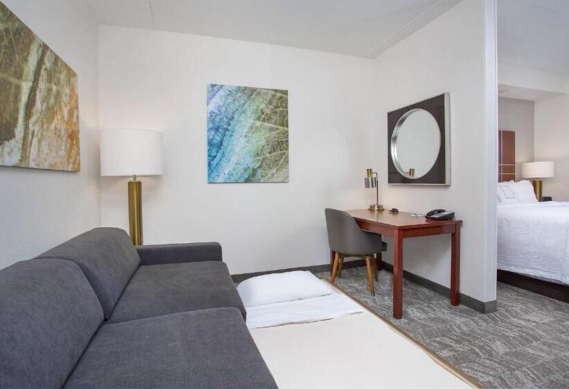 فندق Springhill Suites Pigeon Forge