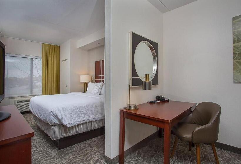 فندق Springhill Suites Pigeon Forge