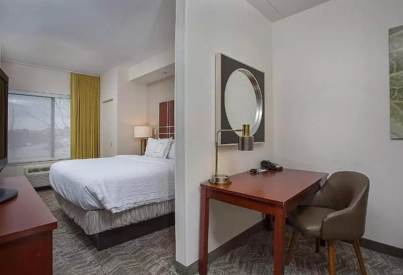 فندق Springhill Suites Pigeon Forge