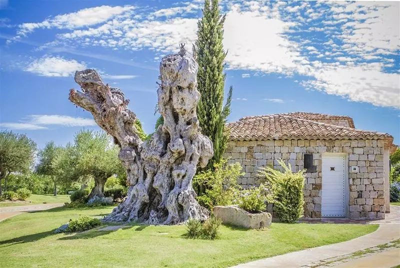 فندق Villas Resort Wellness & Spa