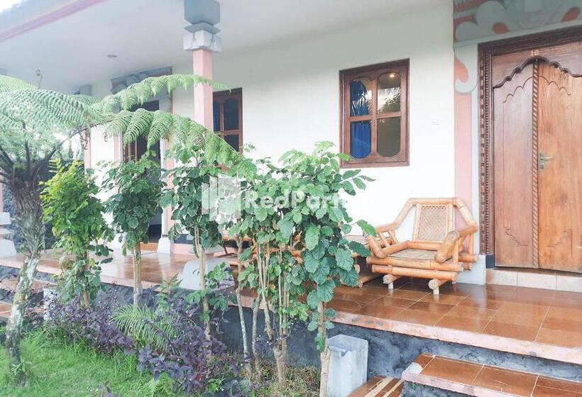 호텔 Arlina S Guest House Kintamani Redpartner