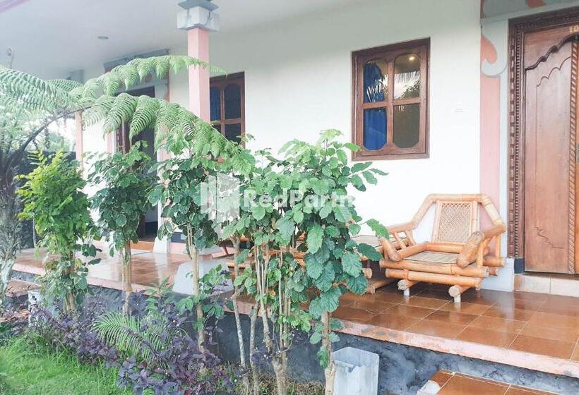 호텔 Arlina S Guest House Kintamani Redpartner