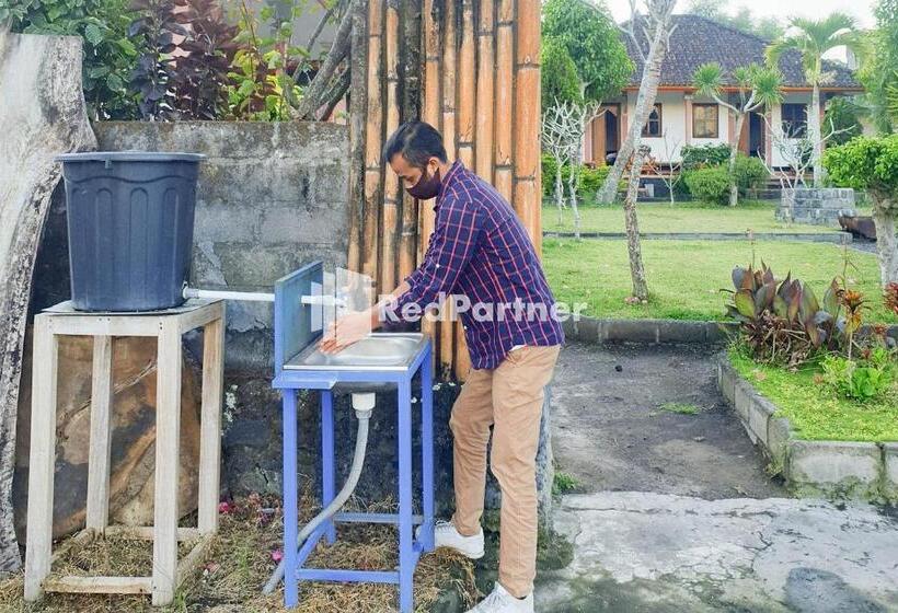 호텔 Arlina S Guest House Kintamani Redpartner