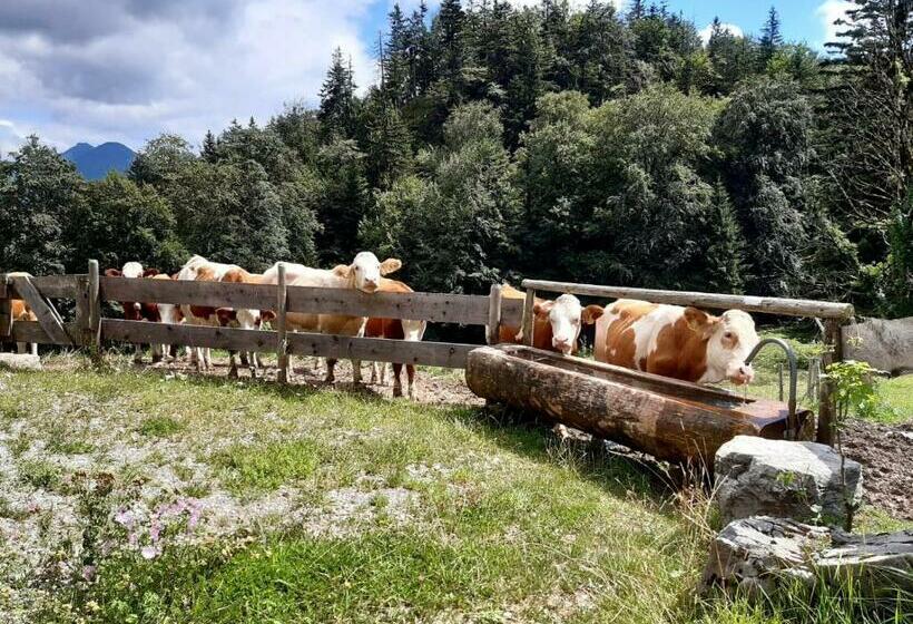 فندق Huberhof, Mettenham