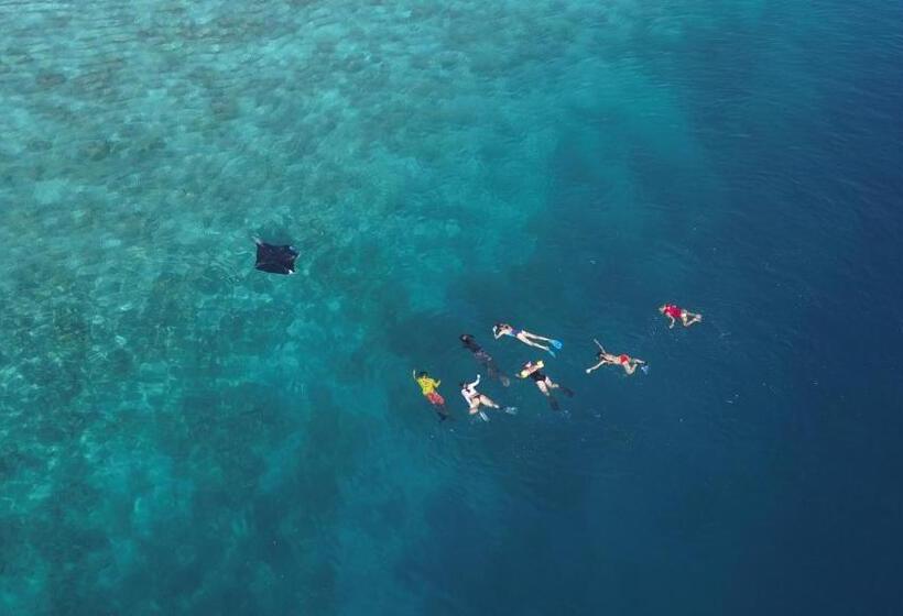 پانسیون Leisure Inn Guest House