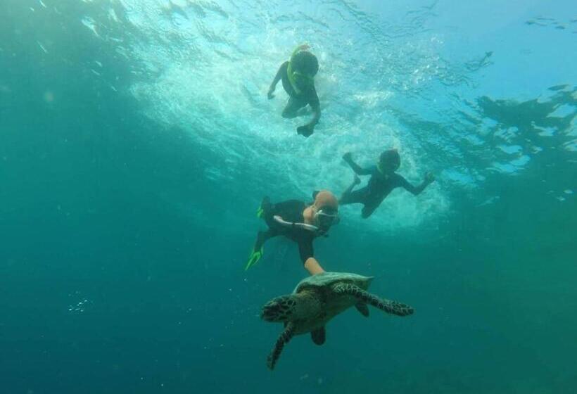 پانسیون Leisure Inn Guest House