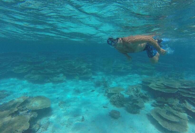 پانسیون Leisure Inn Guest House