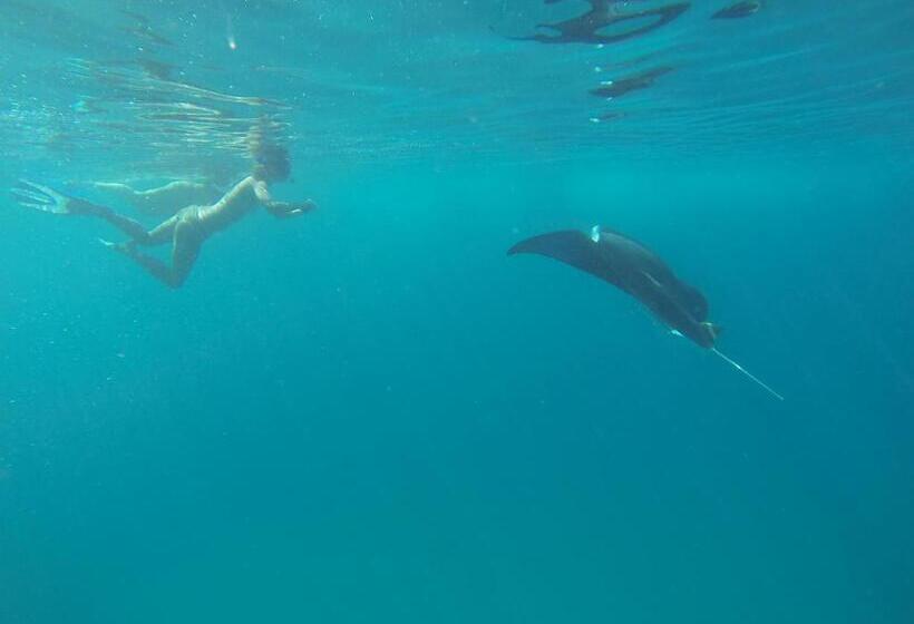 پانسیون Leisure Inn Guest House