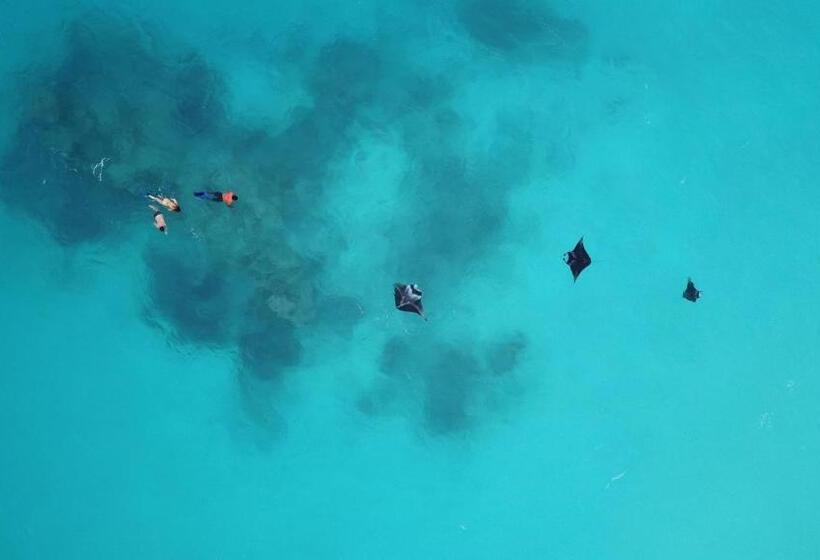 پانسیون Leisure Inn Guest House