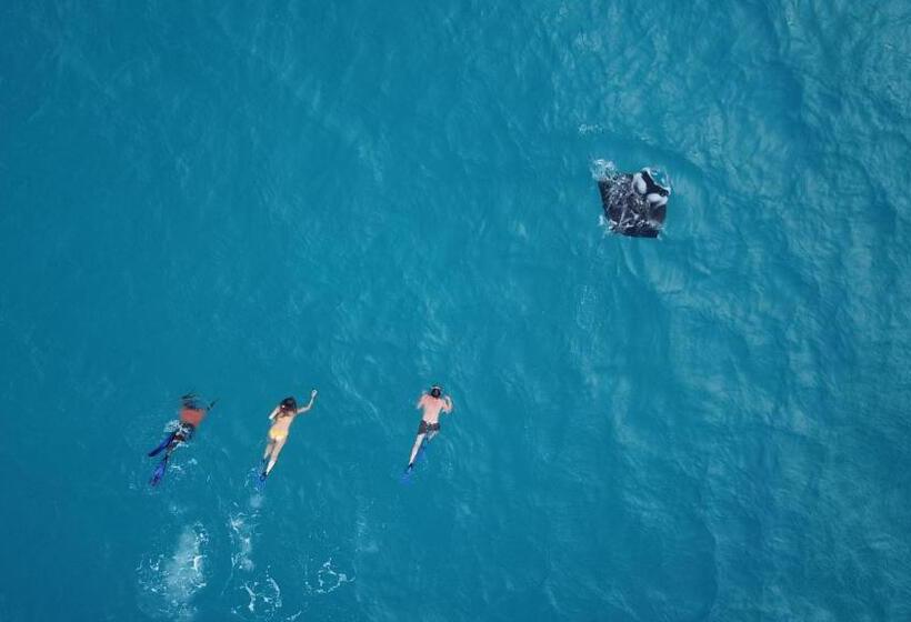 پانسیون Leisure Inn Guest House