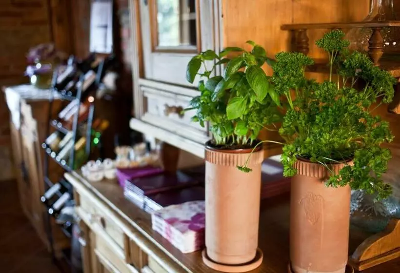 Aamiaismajoitus (B&B) St.michael Panzió Lovaspark