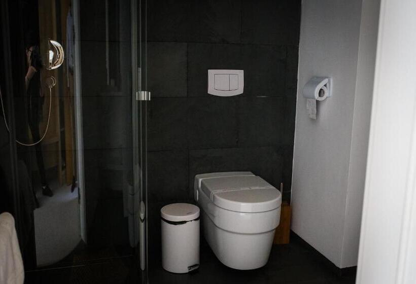 ホテル Pensiunea Art 1000