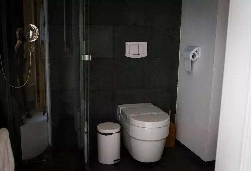 Hotelli Pensiunea Art 1000