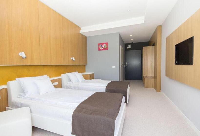 ホテル Pensiunea Art 1000