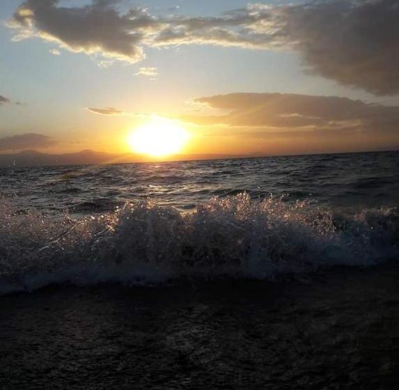 Отель Today , Խաղաղության լողափ