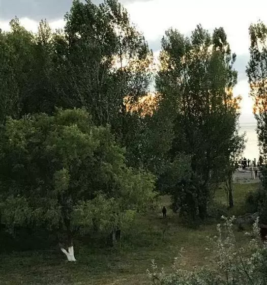 Hotelli Today , Խաղաղության լողափ