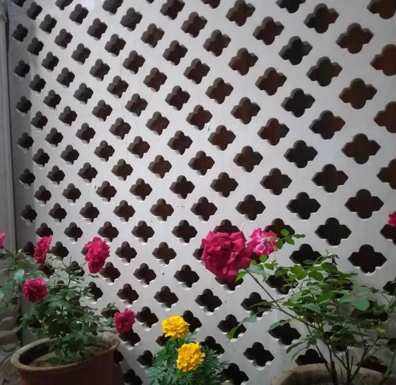 בית מלון כפרי Tourist Inn