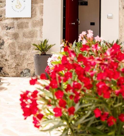 پانسیون Bellevue Rooms & Suites