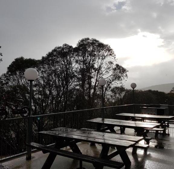 Cedarwood Apartments