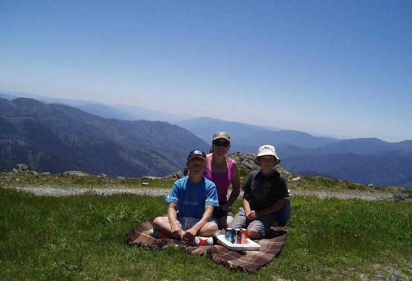 Cedarwood Apartments