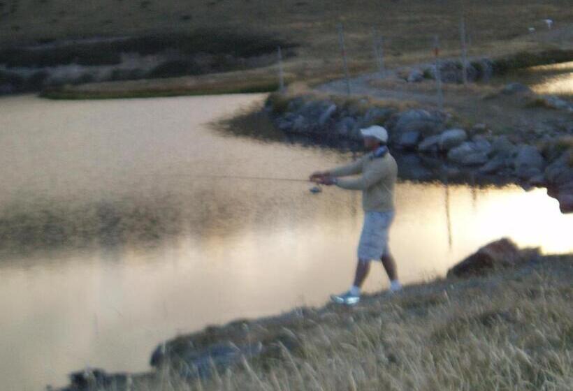 Cedarwood Apartments