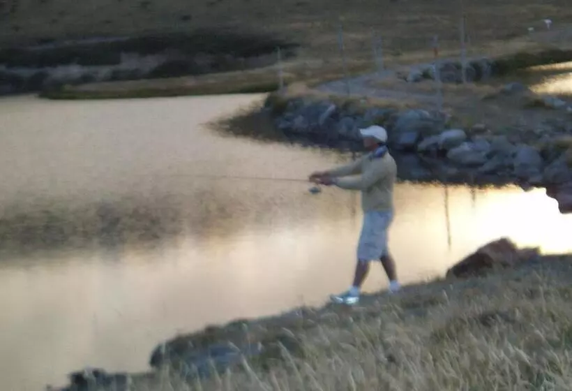 Cedarwood Apartments