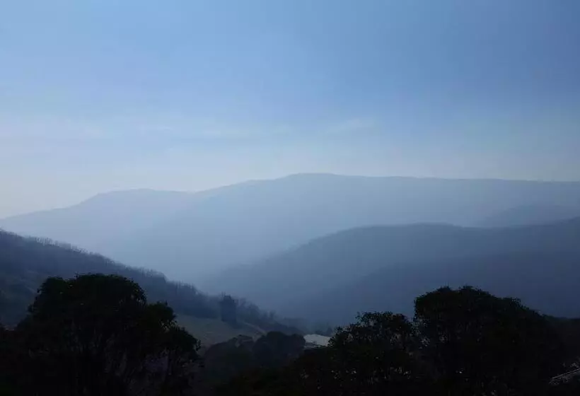 Cedarwood Apartments