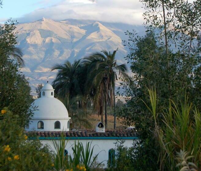 Hostel Las Palmeras Inn