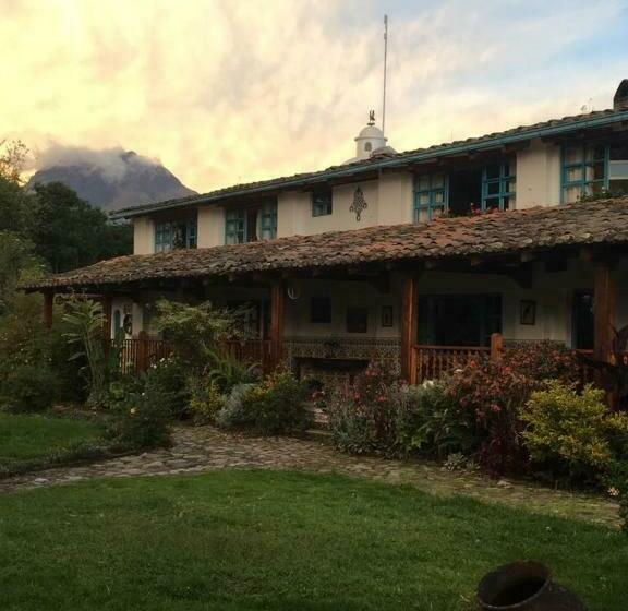 Hostel Las Palmeras Inn