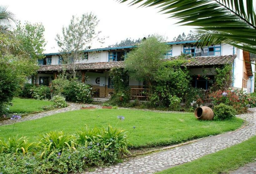 Hostel Las Palmeras Inn