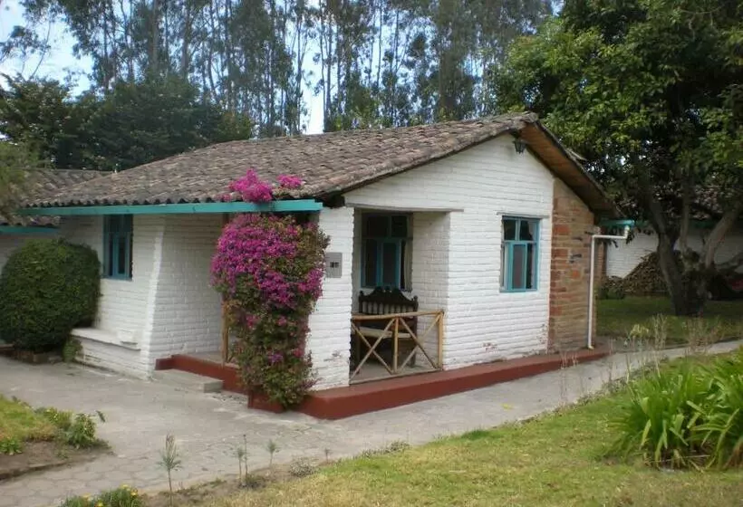 Retkeilymaja Las Palmeras Inn