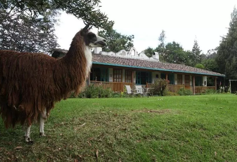 Retkeilymaja Las Palmeras Inn