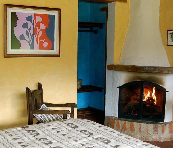 Hostel Las Palmeras Inn