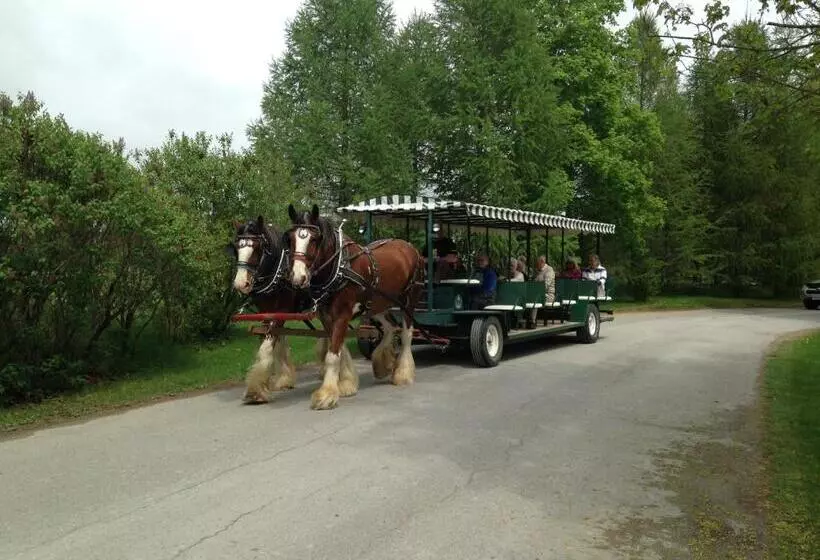 Elmhirst's Resort