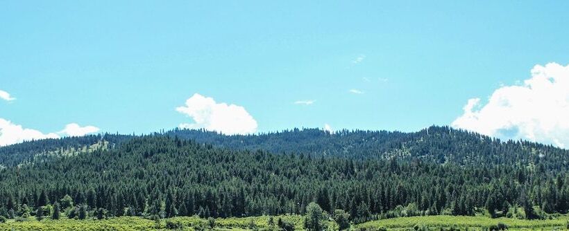 فندق على الطريق Wedge Mountain Inn