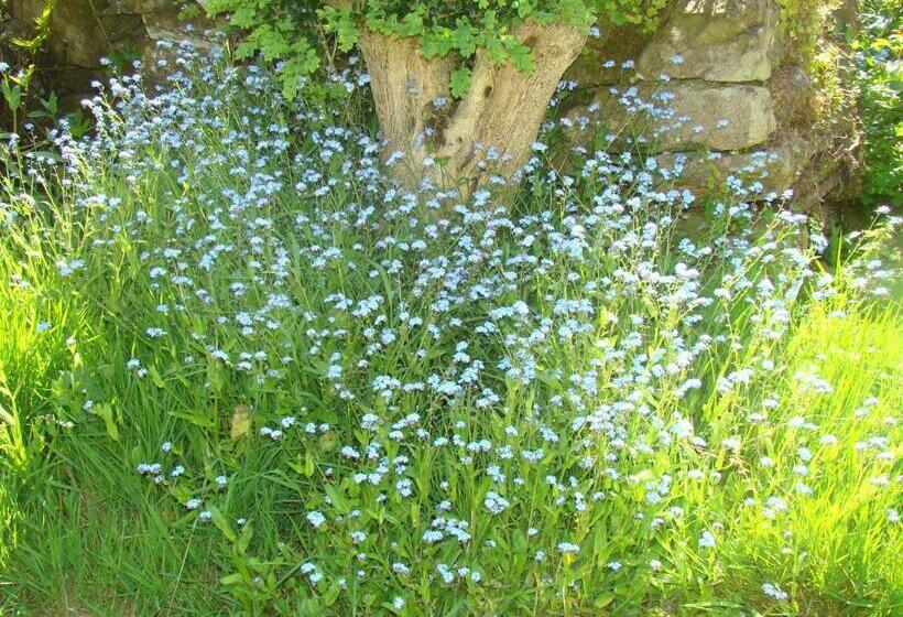 بنسيون Kernel Bihan