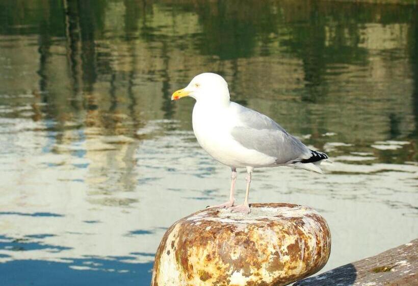 بنسيون Kernel Bihan