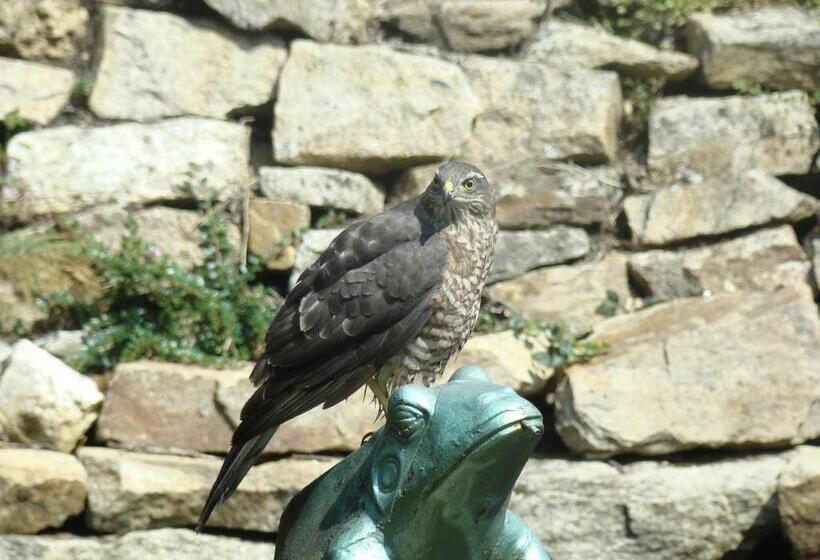 بنسيون Kernel Bihan