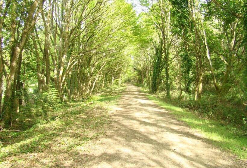 بنسيون Kernel Bihan