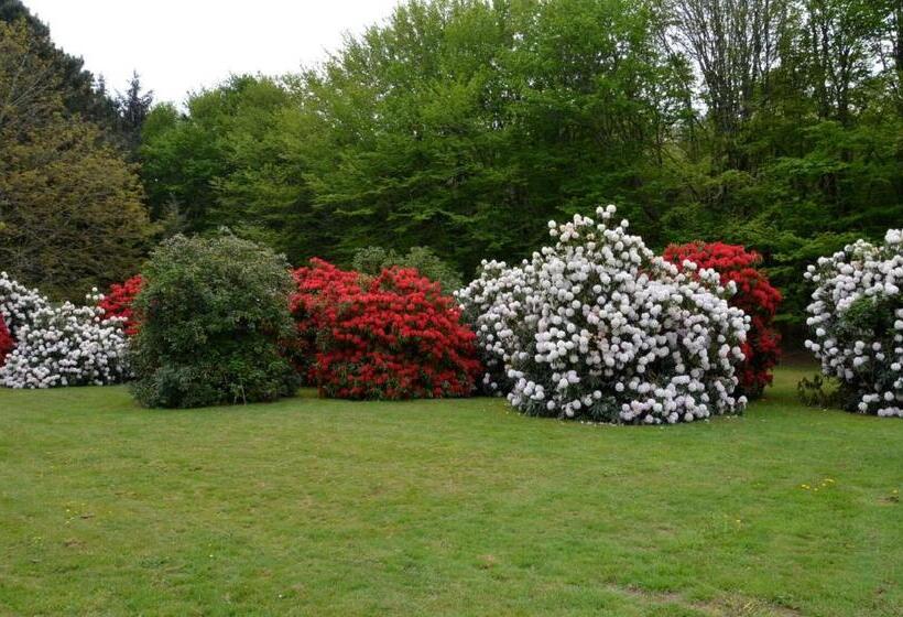 بنسيون Kernel Bihan