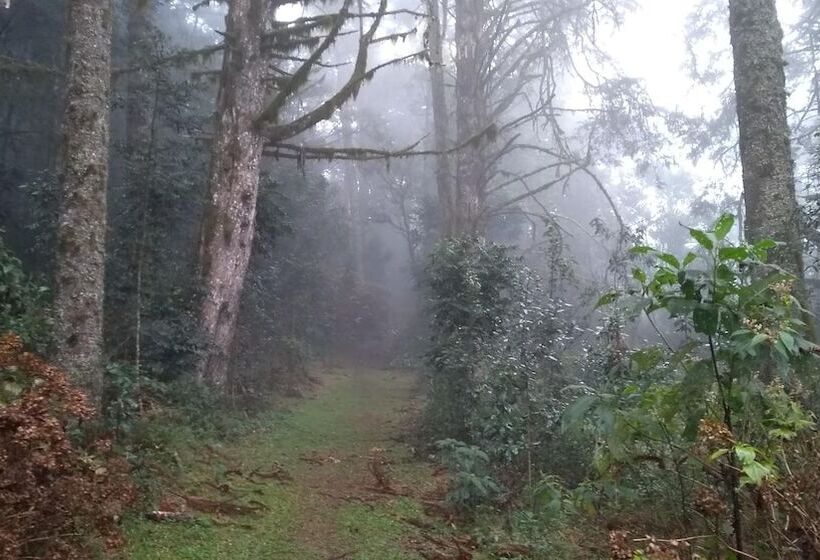 فندق Bela Vista Parque