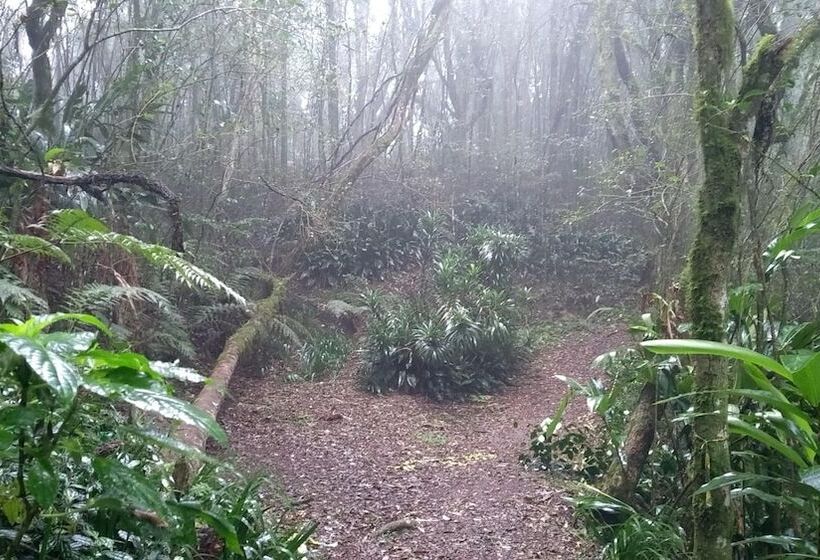 فندق Bela Vista Parque